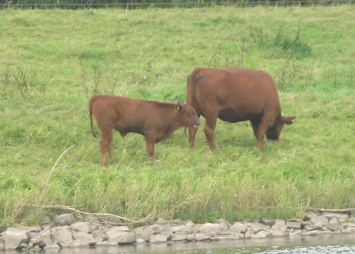 Garni Alte Post Boffzen